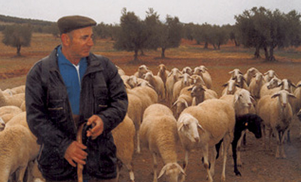 Alma Quesera